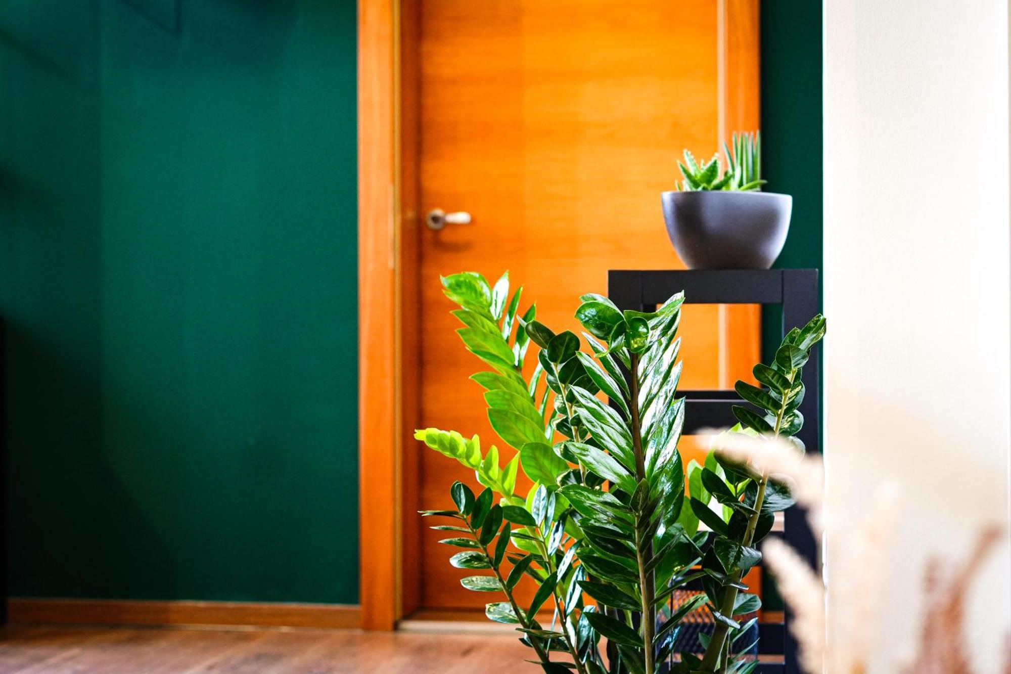 Apartamento Alpenloft Bregenz Exterior foto
